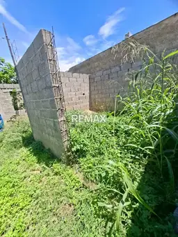 Vista 3