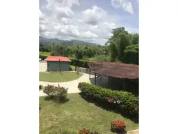 View 8