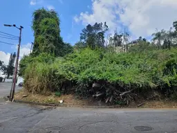 View 11