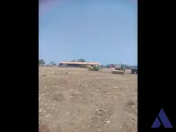 View 1