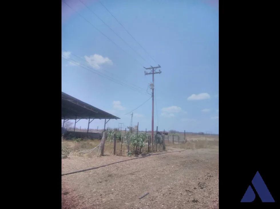 Se vende finca Ganadera/Agropecuaria 2.700Has Guárico 3431 - 11