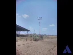 View 11