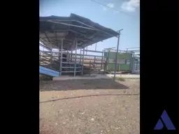 View 14