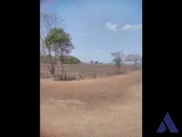 View 16