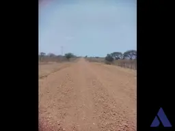 View 8