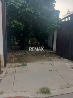 View 7