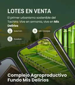 Vista 3