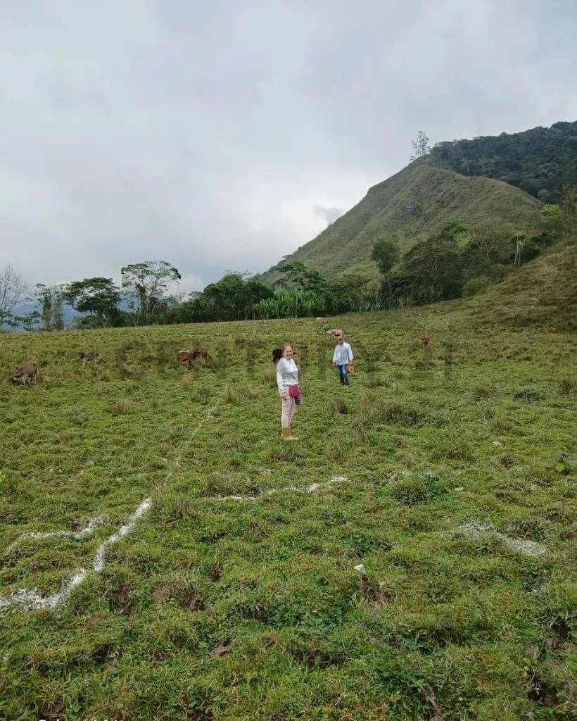 terreno Venta en Cordero sector Sabana Larga - 6