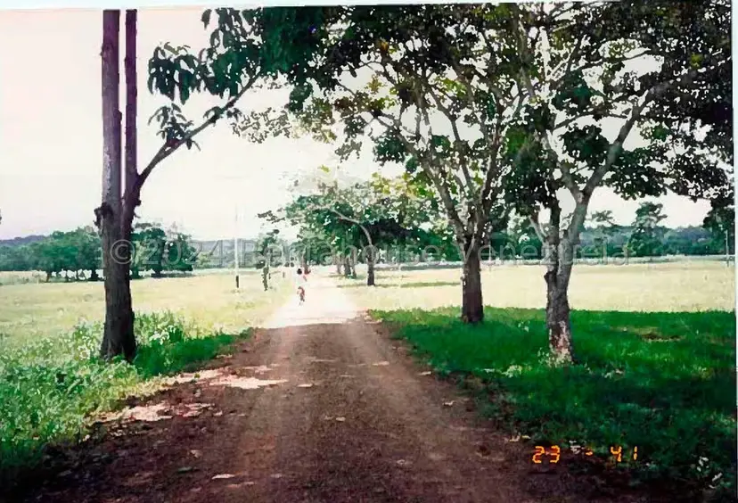 Terreno (Finca) en Venta en Villas de San Fernando, Miranda