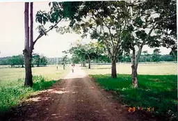 Vista 1