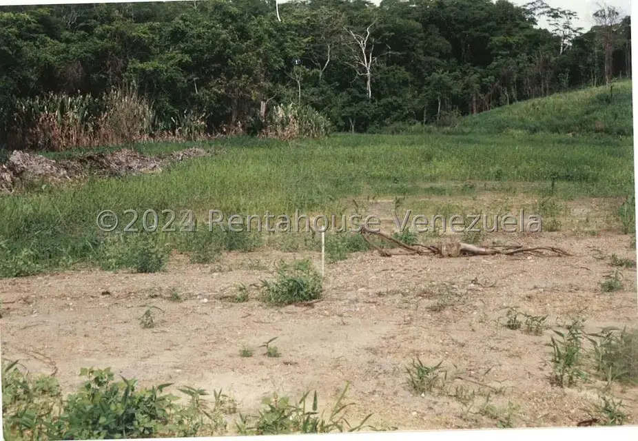 Terreno (Finca) en Venta en Villas de San Fernando, Miranda - 5