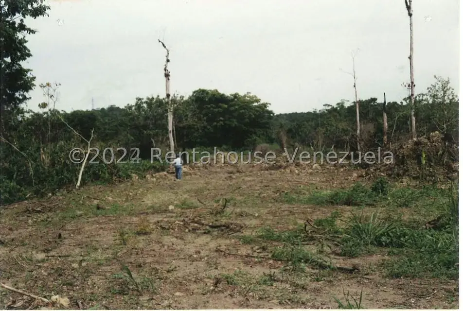 Terreno (Finca) en Venta en Villas de San Fernando, Miranda - 6