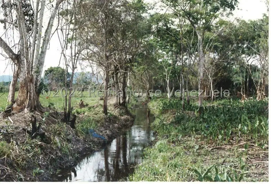 Terreno (Finca) en Venta en Villas de San Fernando, Miranda - 7