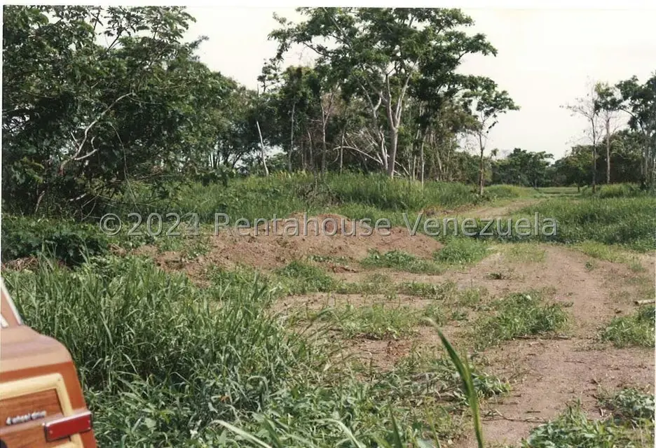 Terreno (Finca) en Venta en Villas de San Fernando, Miranda - 8