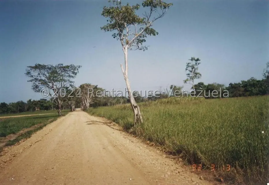 Terreno (Finca) en Venta en Villas de San Fernando, Miranda - 9