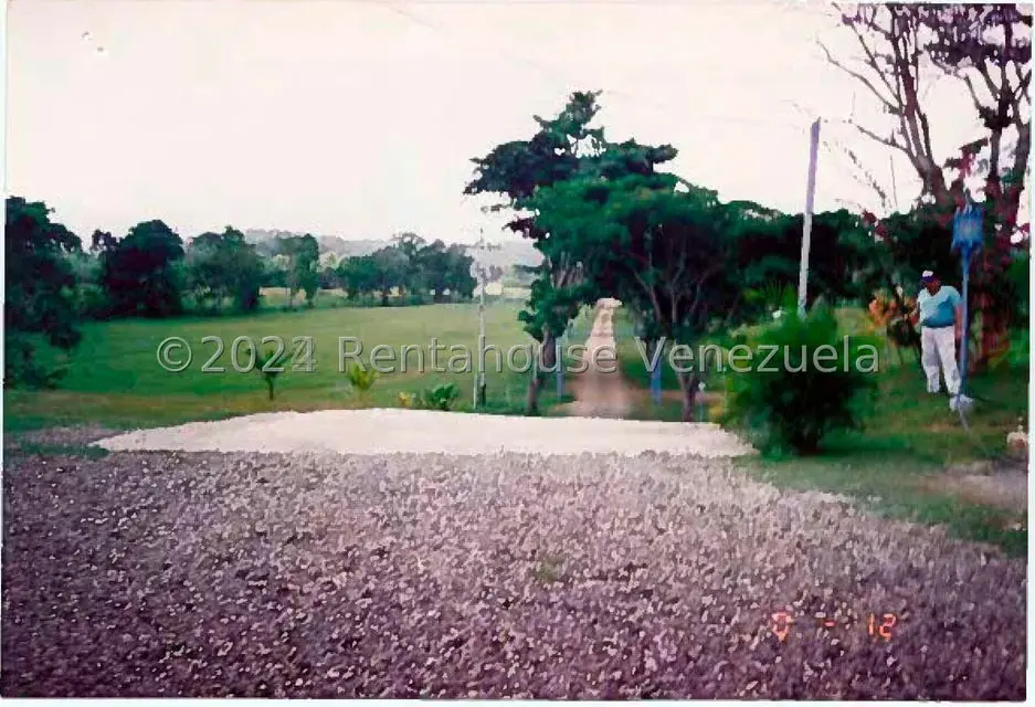 Terreno (Finca) en Venta en Villas de San Fernando, Miranda - 10