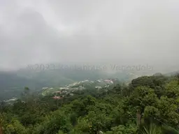 Vista 56