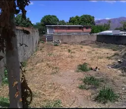 Vista 11