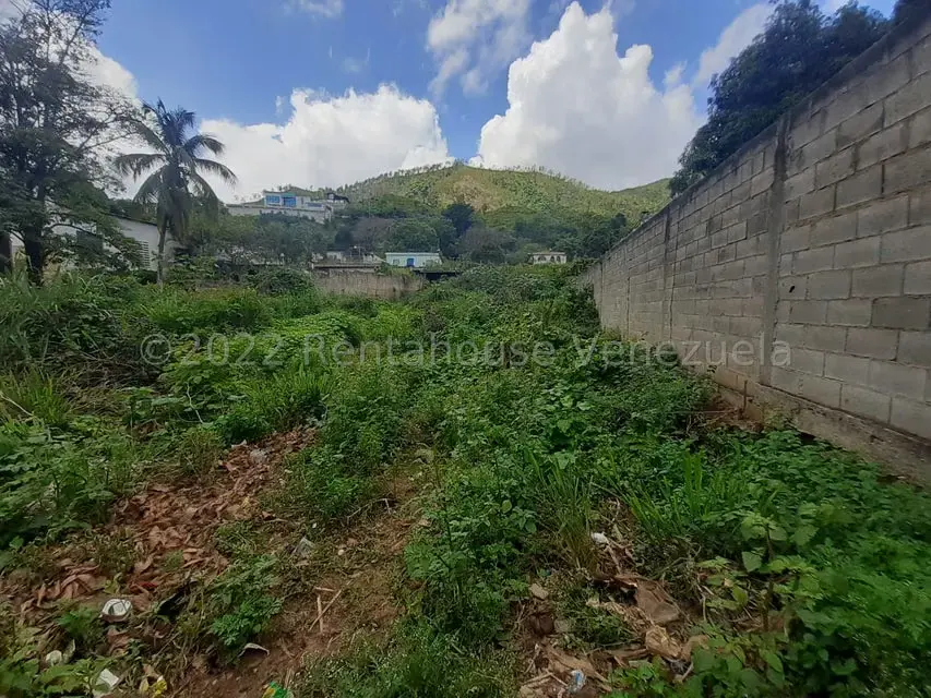 Terreno (Residencial) en Venta en Las Palmas, Guarico - 5