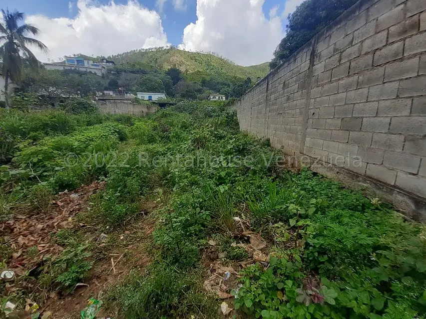 Terreno (Residencial) en Venta en Las Palmas, Guarico - 6