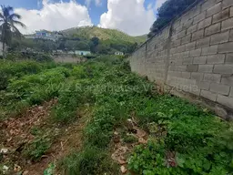 Vista 6