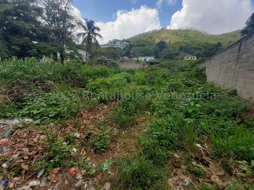 Terreno (Residencial) en Venta en Las Palmas, Guarico - 7