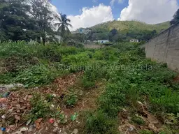 Vista 7