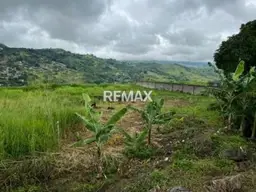 View 1