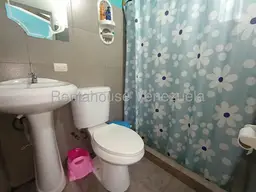 Vista 15