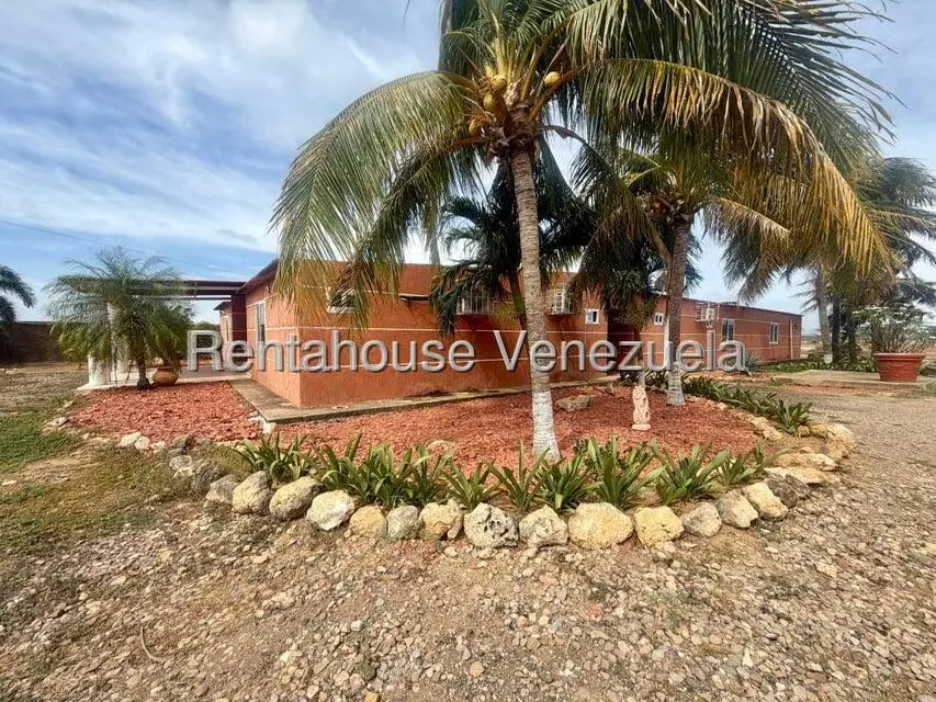 Comercial (Club Campestre) en Venta en Santa Ana, Falcon - 12