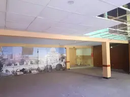 Vista 4