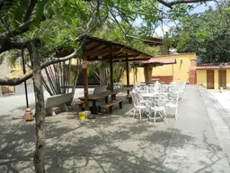 Vista 21