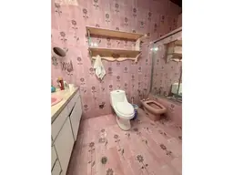 Vista 15