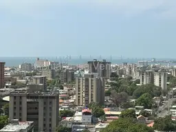 Vista 31