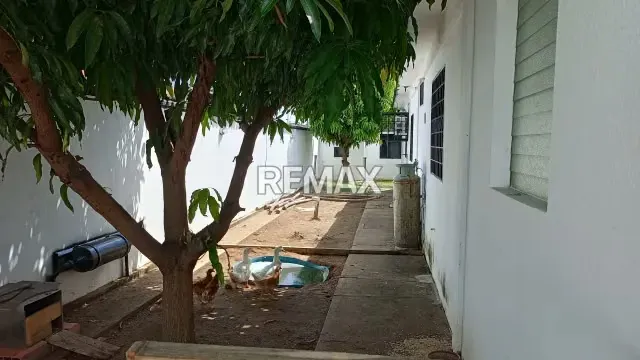 CASA EN ALQUILER EN CIUDAD OJEDA - 17