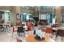 Vista 15