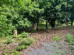 View 14
