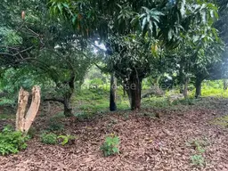 View 15