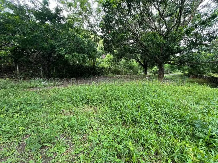 Casa (1 Nivel) en Venta en Distrito San Casimiro, Aragua - 19