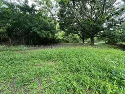 View 19