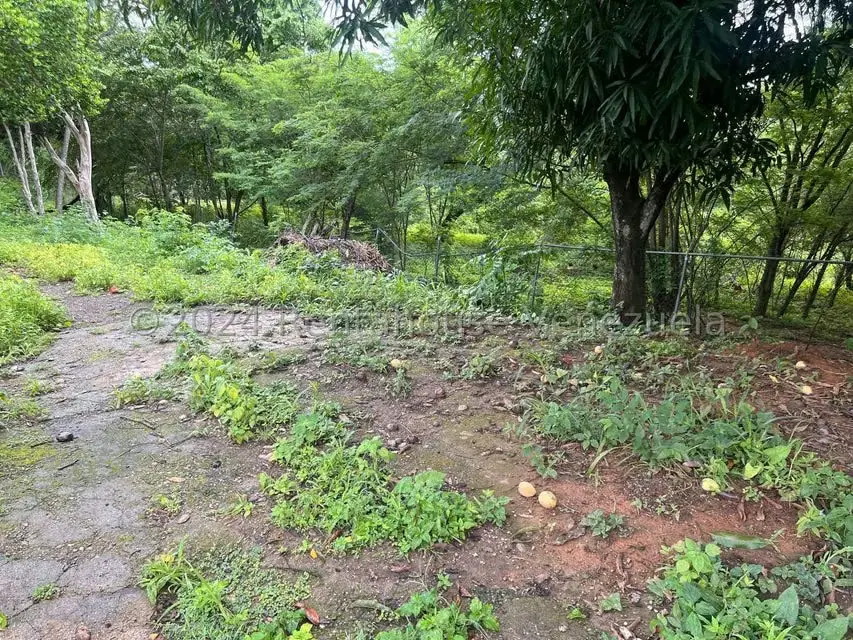 Casa (1 Nivel) en Venta en Distrito San Casimiro, Aragua - 20