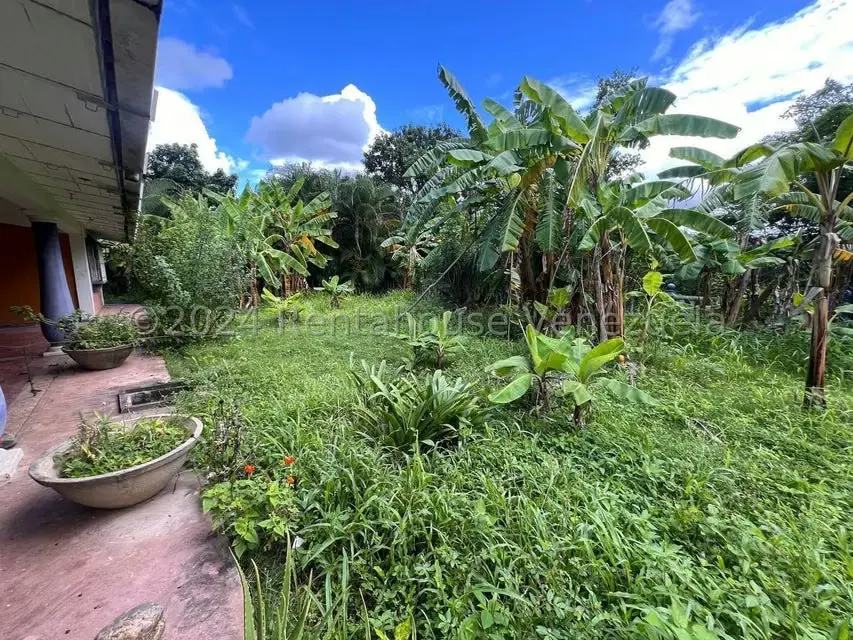 Casa (1 Nivel) en Venta en Distrito San Casimiro, Aragua - 21