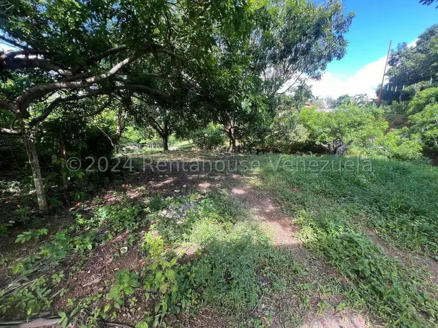 Casa (1 Nivel) en Venta en Distrito San Casimiro, Aragua - 23