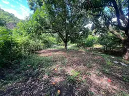 View 25