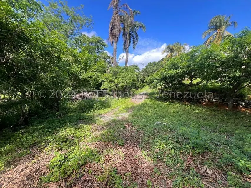 Casa (1 Nivel) en Venta en Distrito San Casimiro, Aragua - 26