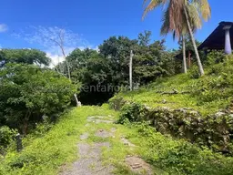 View 27