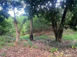 View 28