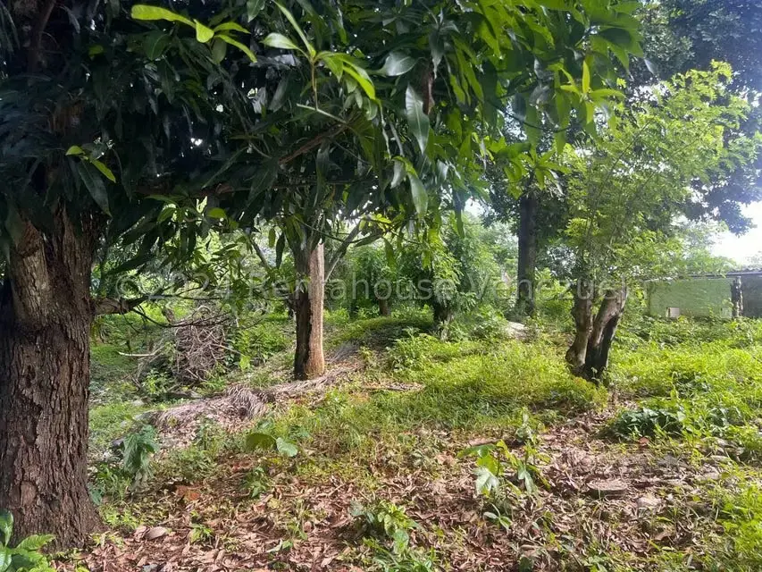 Casa (1 Nivel) en Venta en Distrito San Casimiro, Aragua - 29