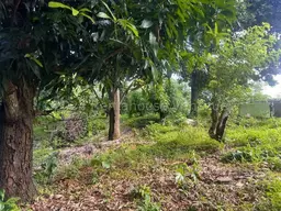 View 29