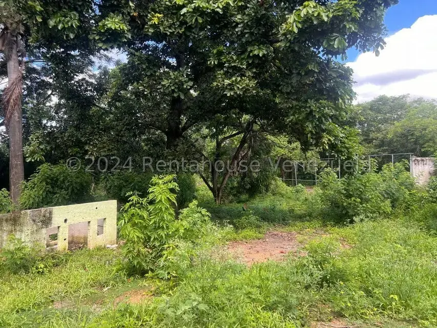 Casa (1 Nivel) en Venta en Distrito San Casimiro, Aragua - 30